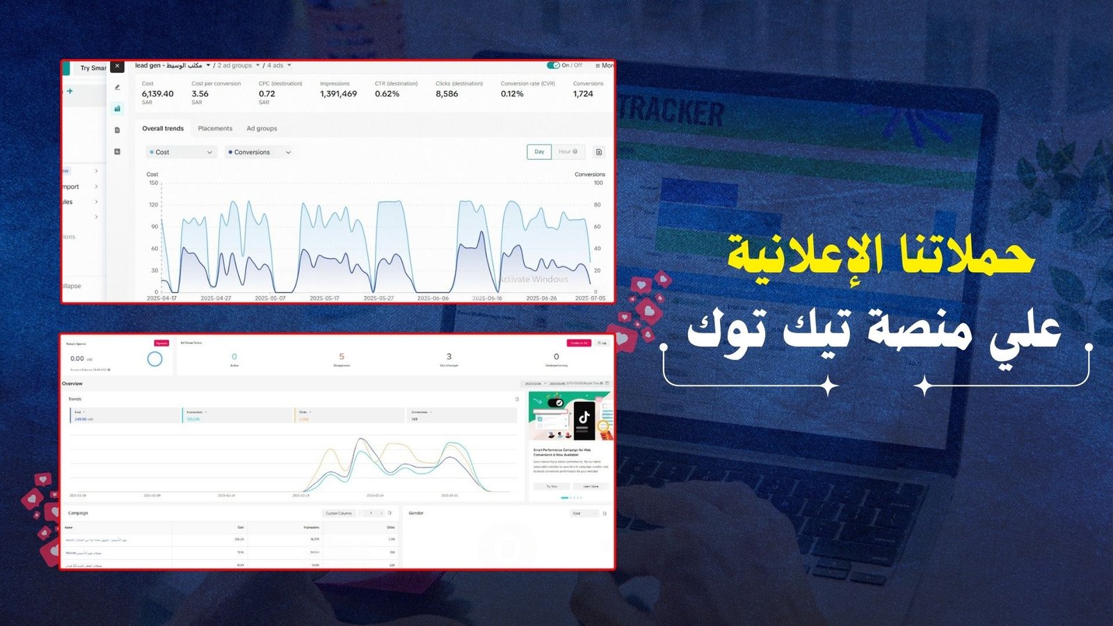 Tiktok Ads Results